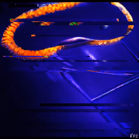 Entropyseed #2480