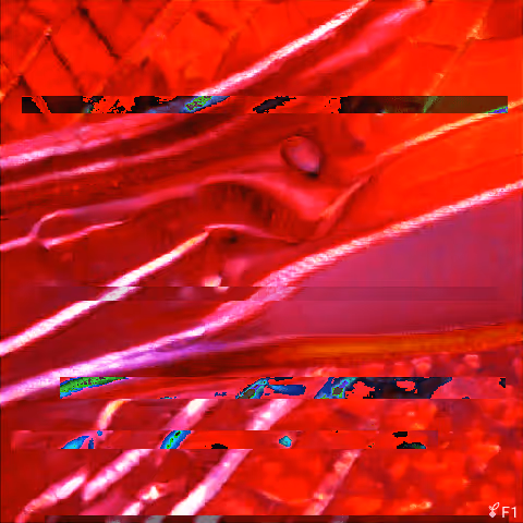 Entropyseed #2472