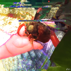 Entropyseed #912