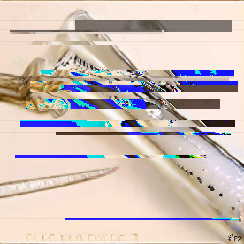 Entropyseed #2124