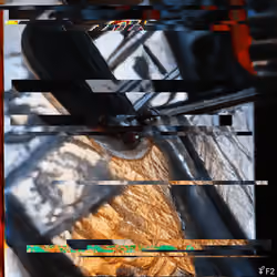 Entropyseed #2455