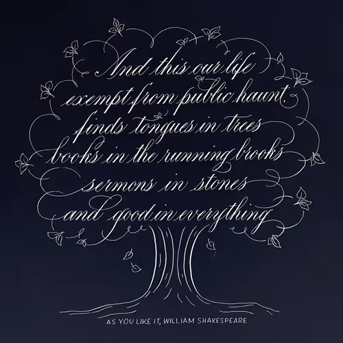 Scripted Quotes