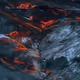 37200010004