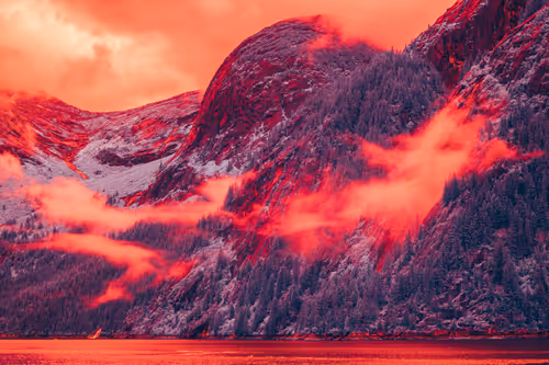 Item #37200030003 Media