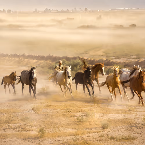 Heirs of the Plains