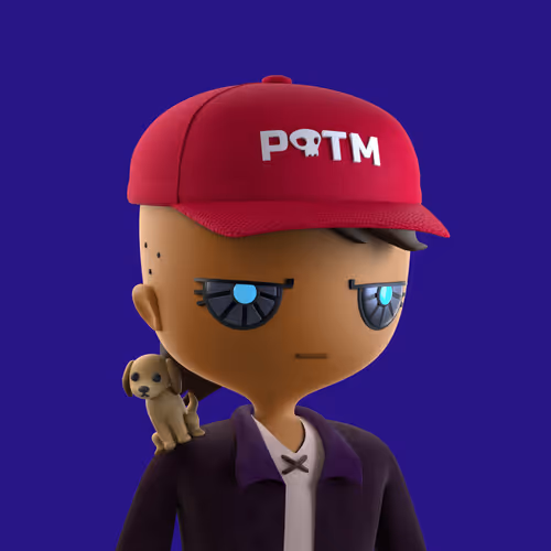 Pirates Of The Metaverse By Drip Studios