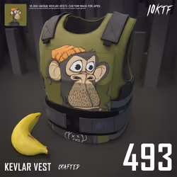 Ape Kevlar Vest #493