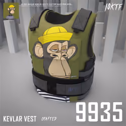 Ape Kevlar Vest #9935