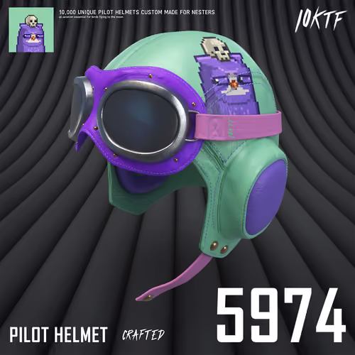 Moonbird Pilot Helmet #5974