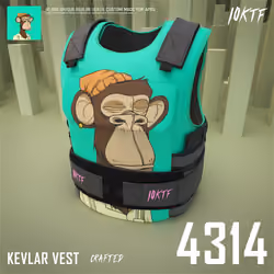 Ape Kevlar Vest #4314