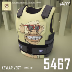 Ape Kevlar Vest #5467