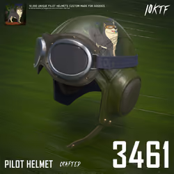 Kennel Pilot Helmet #3461