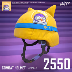 Moonbird Combat Helmet #2550
