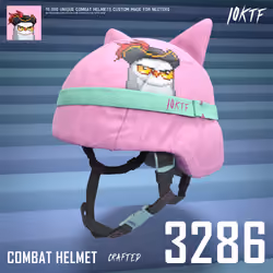 Moonbird Combat Helmet #3286