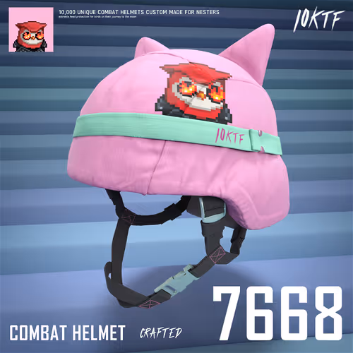 Moonbird Combat Helmet #7668