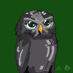 543