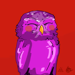 NOT Wise #33