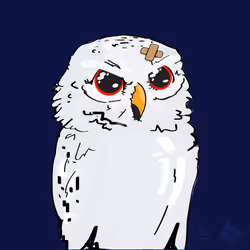 359