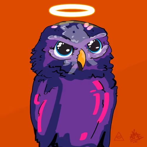 NOT Wise #294
