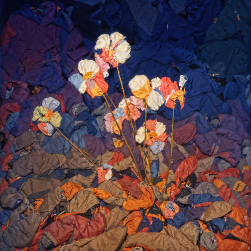 Synthetic Bloom By 0009