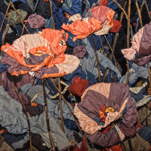 Gathered in Bloom and Drape