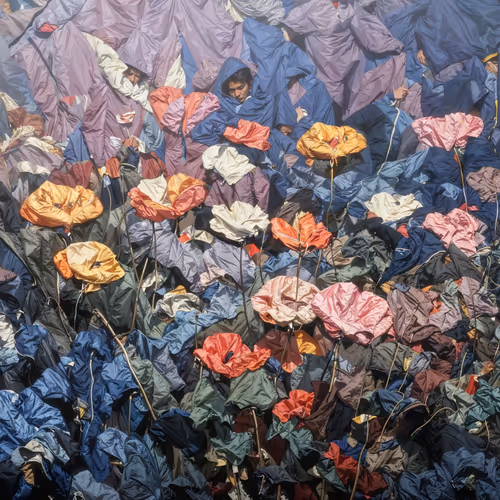 Synthetic Bloom By 0009