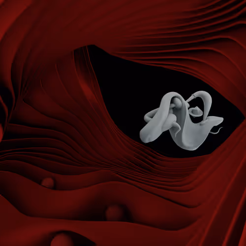 The Journey Of Sensation