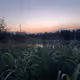 Ones Photography