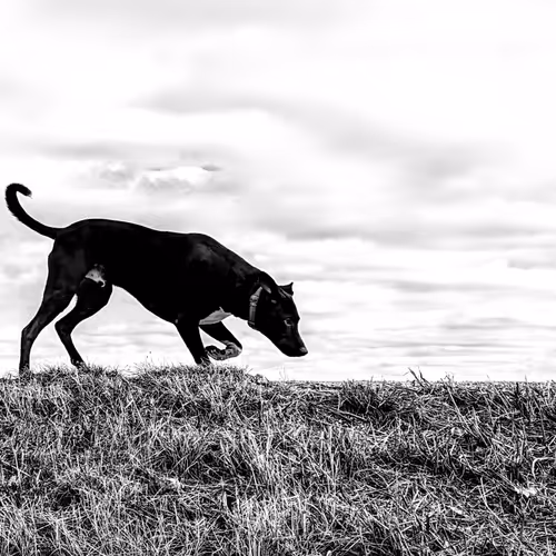 Pop Punk Photography