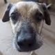 Cody Test