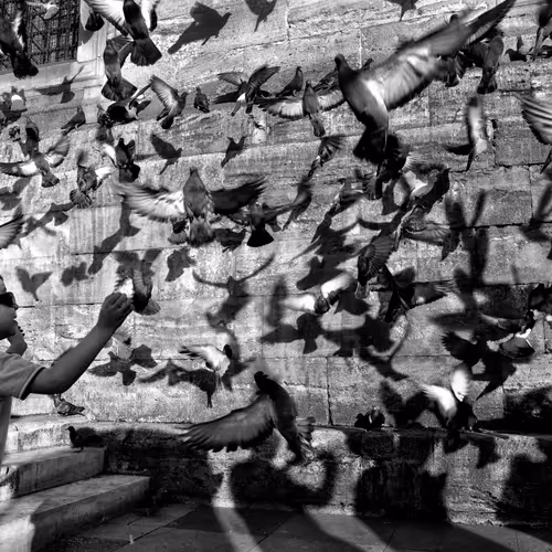 Streets of the World by Ali G