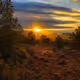 Break Of Day