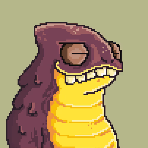 Funky Salamanders