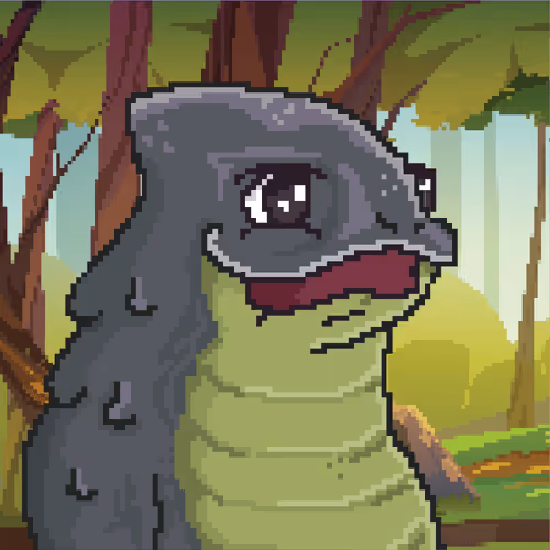Funky Salamanders