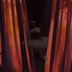 Emergence 108
