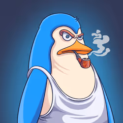 264