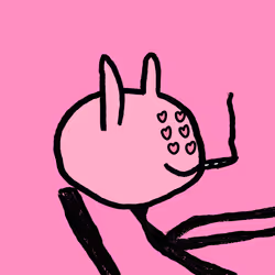 41