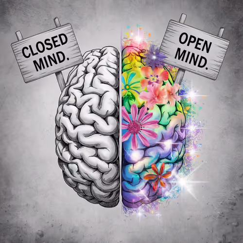 open mind