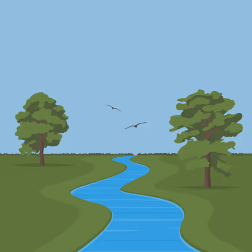 Flying Upstream #1/5