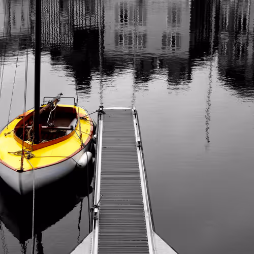 Echoes in Monochrome