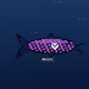 GUPPY #572