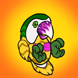 Barefoot Parrots #1401