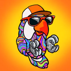Barefoot Parrots #249