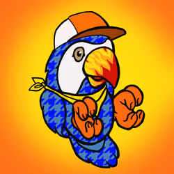 Barefoot Parrots #1472