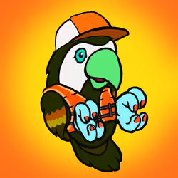 Barefoot Parrots #915