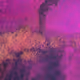 263