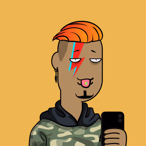 Not Boring Punk