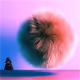 Toad Galaxy Saga
