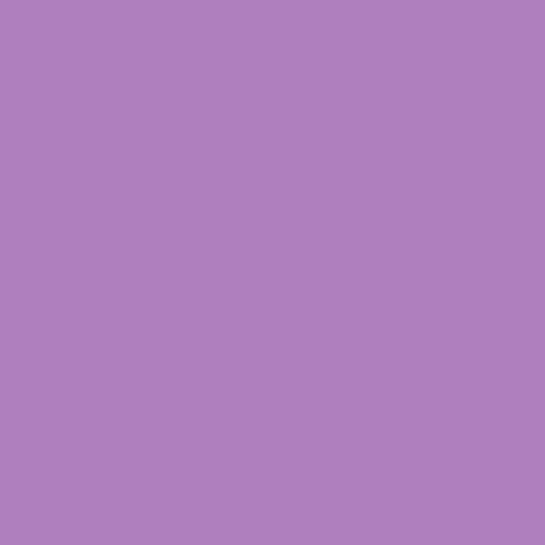 Item #25 Media