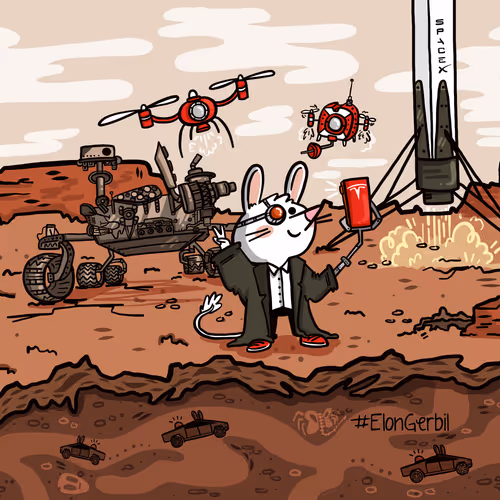 Nonfungerbils